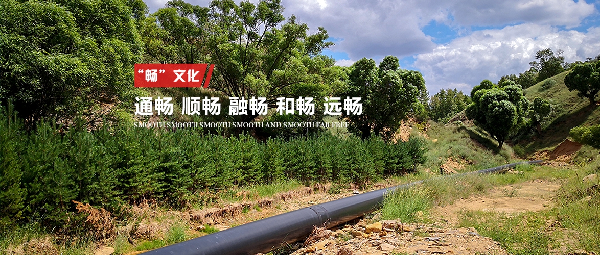  陕西神渭煤炭管道运输有限责任公司